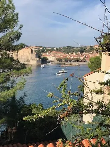T3 - Coeur De Port-vendres Rdc Cour Appartement