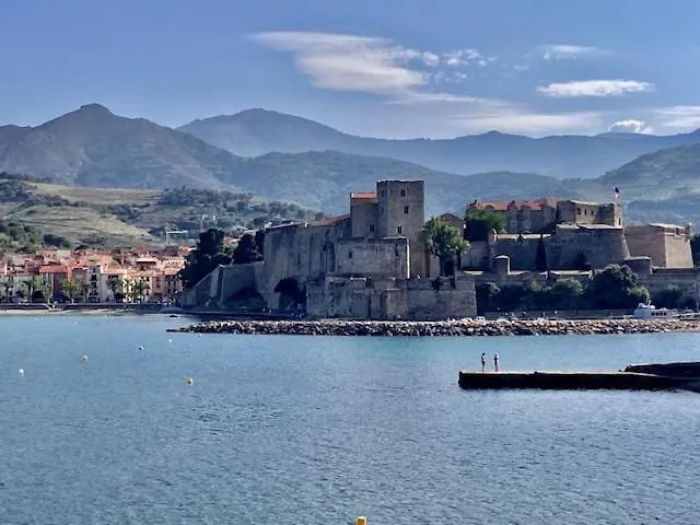 Appartement T3 - Coeur De Port-vendres Rdc Cour